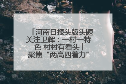 河南日报头版头题关注卫辉：一村一特色 村村有看头 ︳聚焦“两高四着力”·一“县”观察